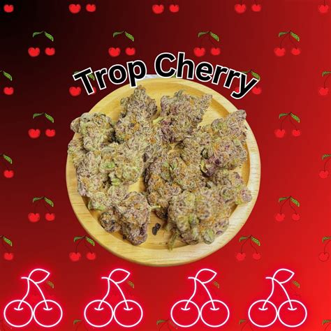 Trop cherry. Things To Know About Trop cherry. 
